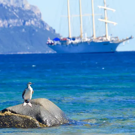 Casa de Férias Casavacanza Golfo Aranci