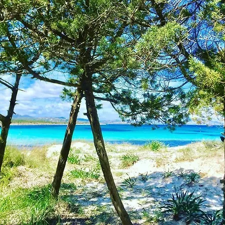 Casavacanza * Golfo Aranci