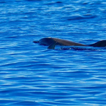 Casavacanza * 골푸아랑시